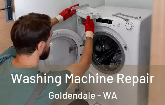  Washing Machine Repair Goldendale - WA