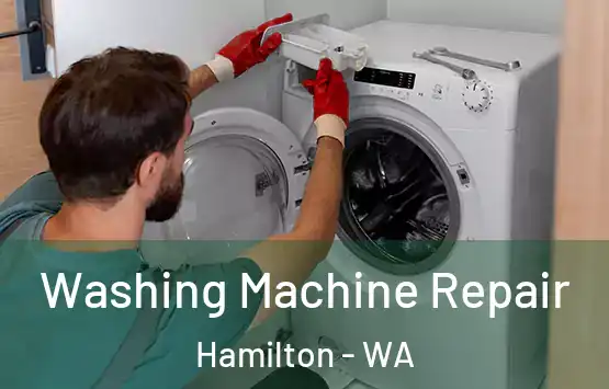  Washing Machine Repair Hamilton - WA