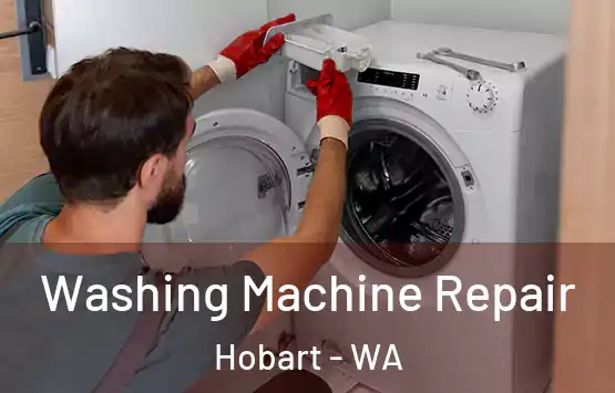  Washing Machine Repair Hobart - WA