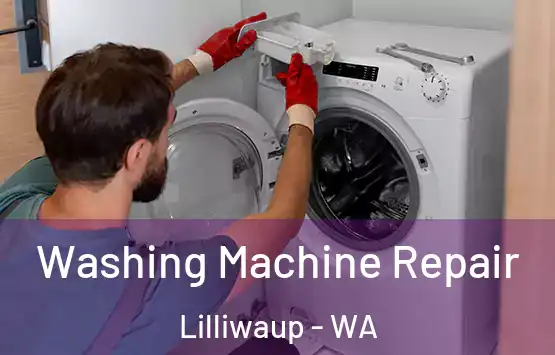  Washing Machine Repair Lilliwaup - WA