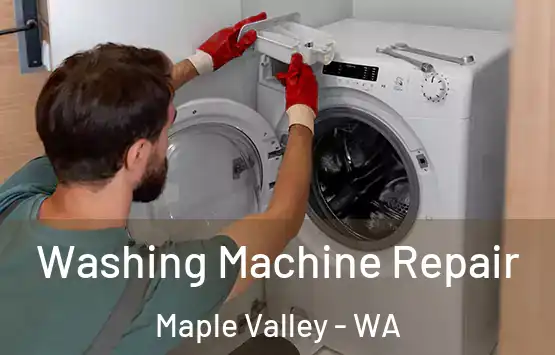  Washing Machine Repair Maple Valley - WA