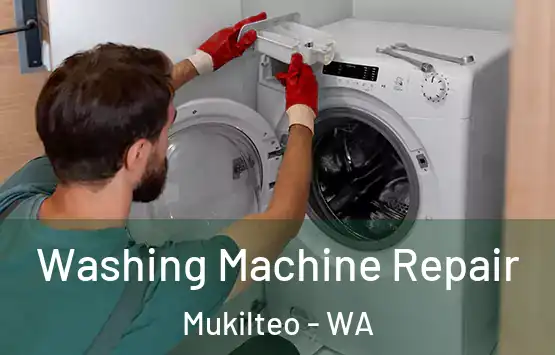  Washing Machine Repair Mukilteo - WA