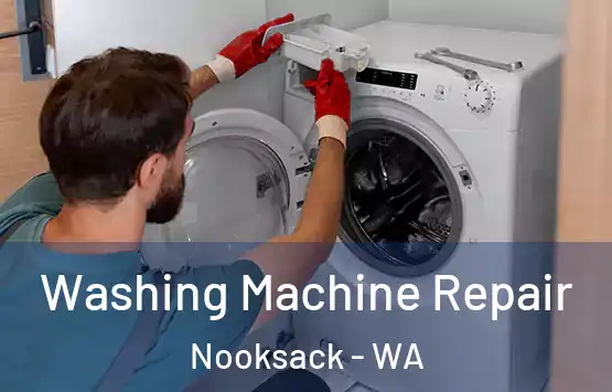  Washing Machine Repair Nooksack - WA