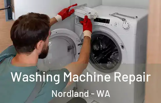  Washing Machine Repair Nordland - WA