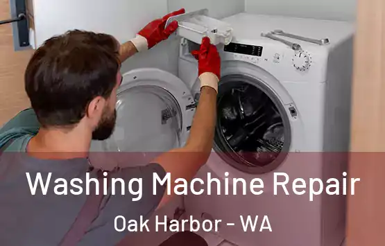  Washing Machine Repair Oak Harbor - WA