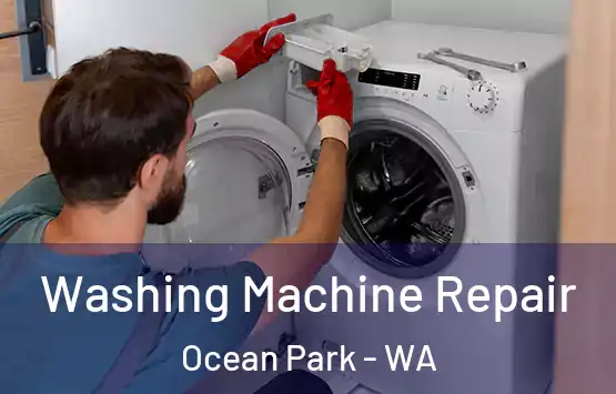  Washing Machine Repair Ocean Park - WA