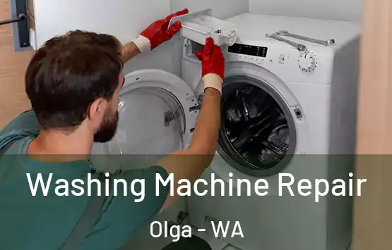  Washing Machine Repair Olga - WA