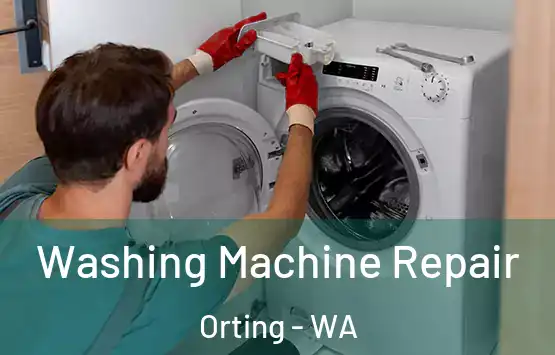  Washing Machine Repair Orting - WA