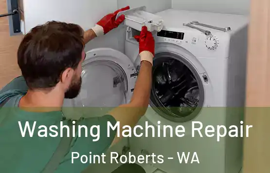  Washing Machine Repair Point Roberts - WA