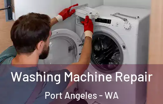  Washing Machine Repair Port Angeles - WA