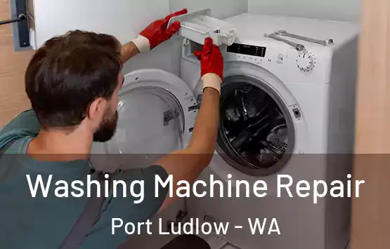  Washing Machine Repair Port Ludlow - WA