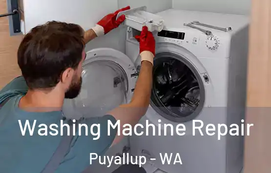  Washing Machine Repair Puyallup - WA