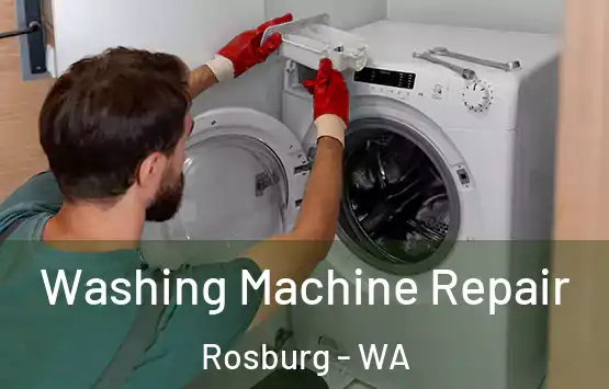  Washing Machine Repair Rosburg - WA
