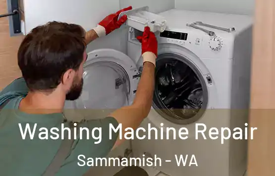  Washing Machine Repair Sammamish - WA