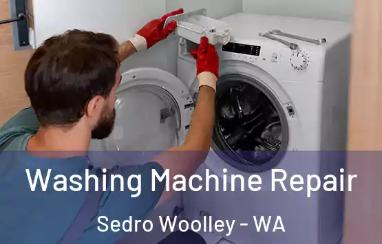  Washing Machine Repair Sedro Woolley - WA