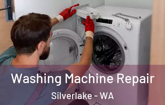  Washing Machine Repair Silverlake - WA