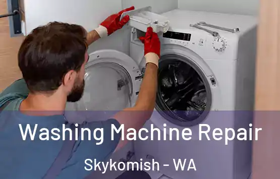  Washing Machine Repair Skykomish - WA