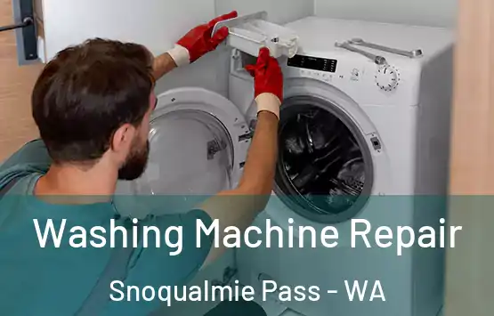  Washing Machine Repair Snoqualmie Pass - WA