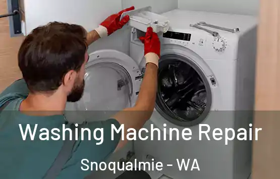  Washing Machine Repair Snoqualmie - WA