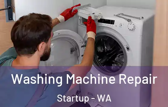  Washing Machine Repair Startup - WA