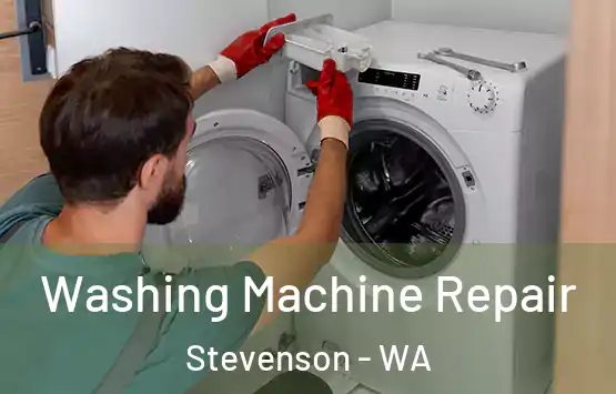  Washing Machine Repair Stevenson - WA
