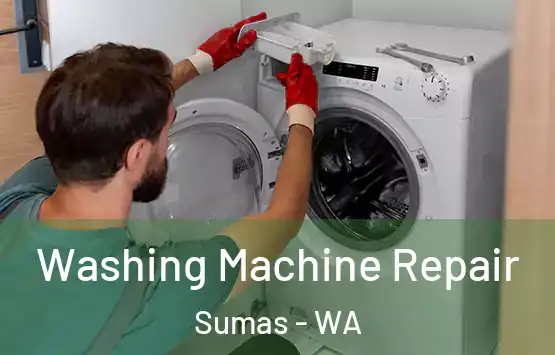  Washing Machine Repair Sumas - WA