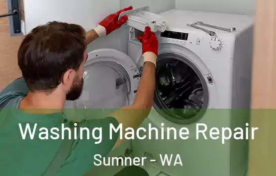  Washing Machine Repair Sumner - WA