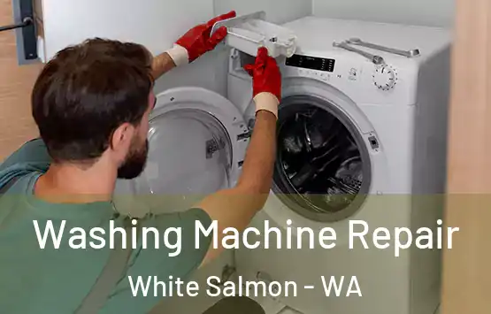  Washing Machine Repair White Salmon - WA