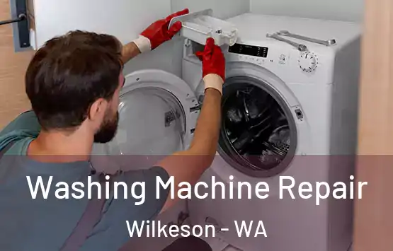  Washing Machine Repair Wilkeson - WA