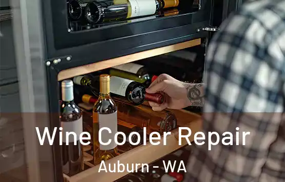  Wine Cooler Repair Auburn - WA