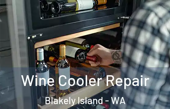  Wine Cooler Repair Blakely Island - WA