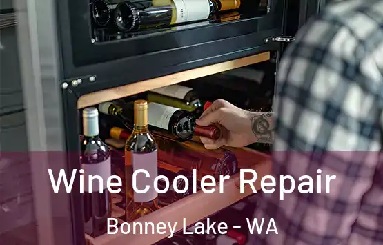  Wine Cooler Repair Bonney Lake - WA