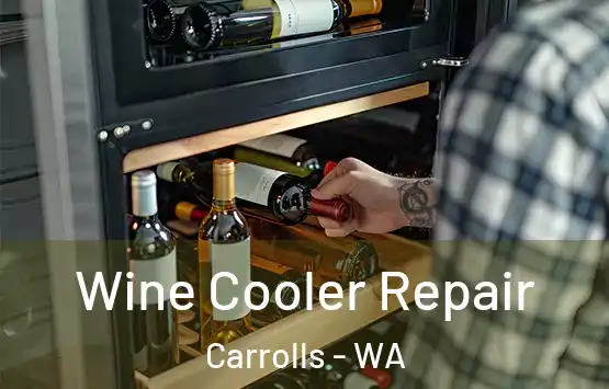  Wine Cooler Repair Carrolls - WA