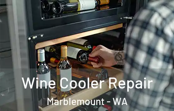  Wine Cooler Repair Marblemount - WA