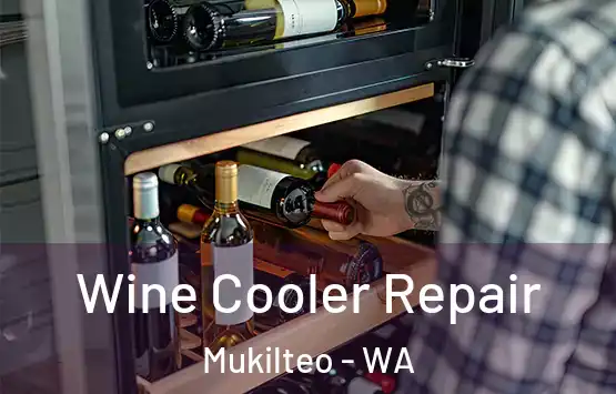  Wine Cooler Repair Mukilteo - WA