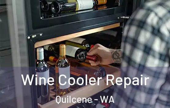  Wine Cooler Repair Quilcene - WA