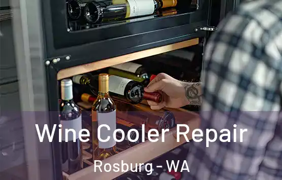  Wine Cooler Repair Rosburg - WA