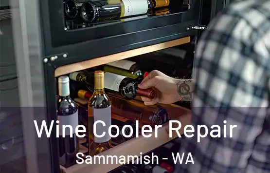  Wine Cooler Repair Sammamish - WA