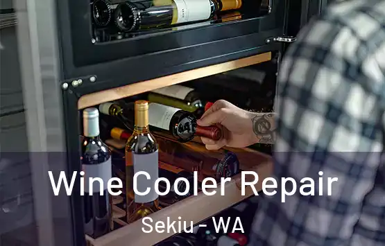  Wine Cooler Repair Sekiu - WA