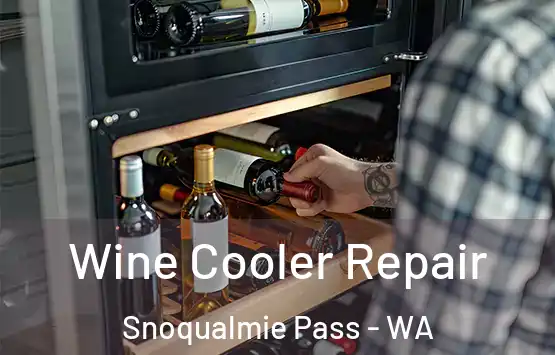  Wine Cooler Repair Snoqualmie Pass - WA