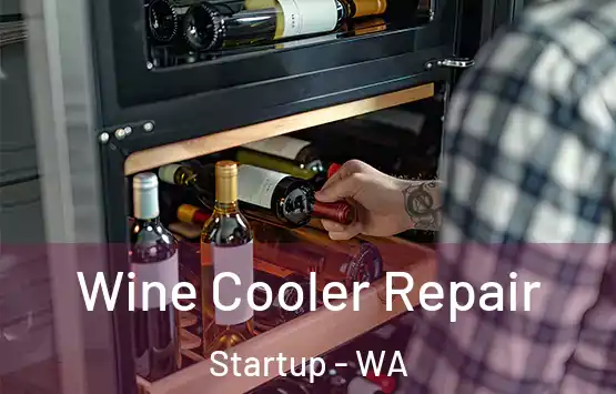  Wine Cooler Repair Startup - WA