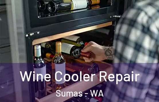  Wine Cooler Repair Sumas - WA