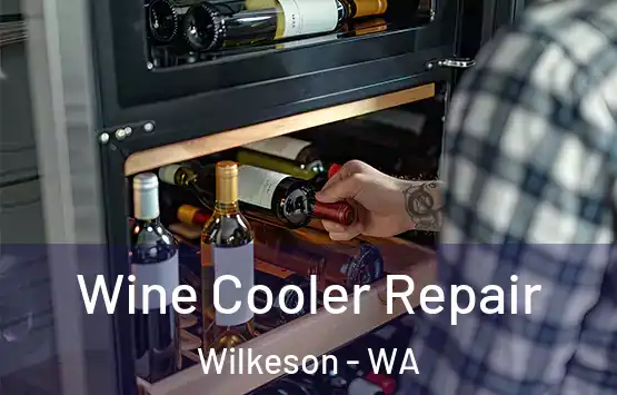  Wine Cooler Repair Wilkeson - WA